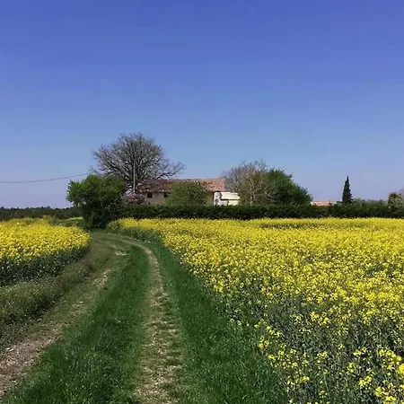 La Brugue בית אירוח